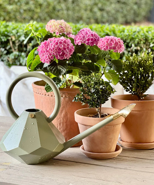 Garden Glory 4L Watering Can